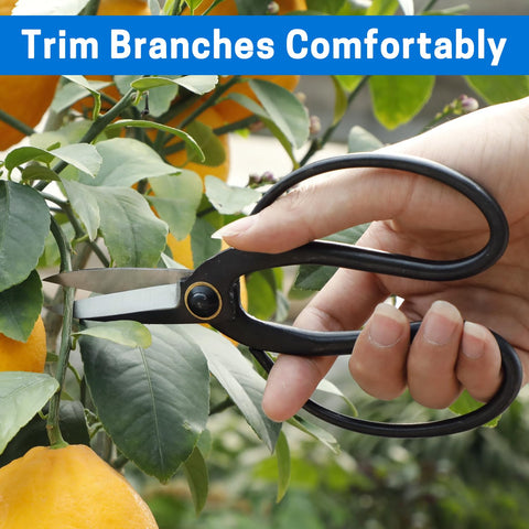 VISEMAN bonsai scissors easy to clean and maintain after use.