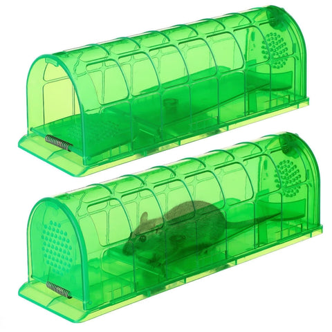 VisidgeB2C humane trap with spacious chamber for larger mice.