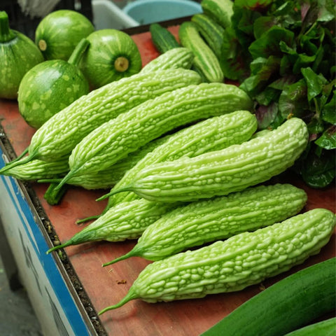 VISTATU bitter-melon seeds package for easy home gardening setup.