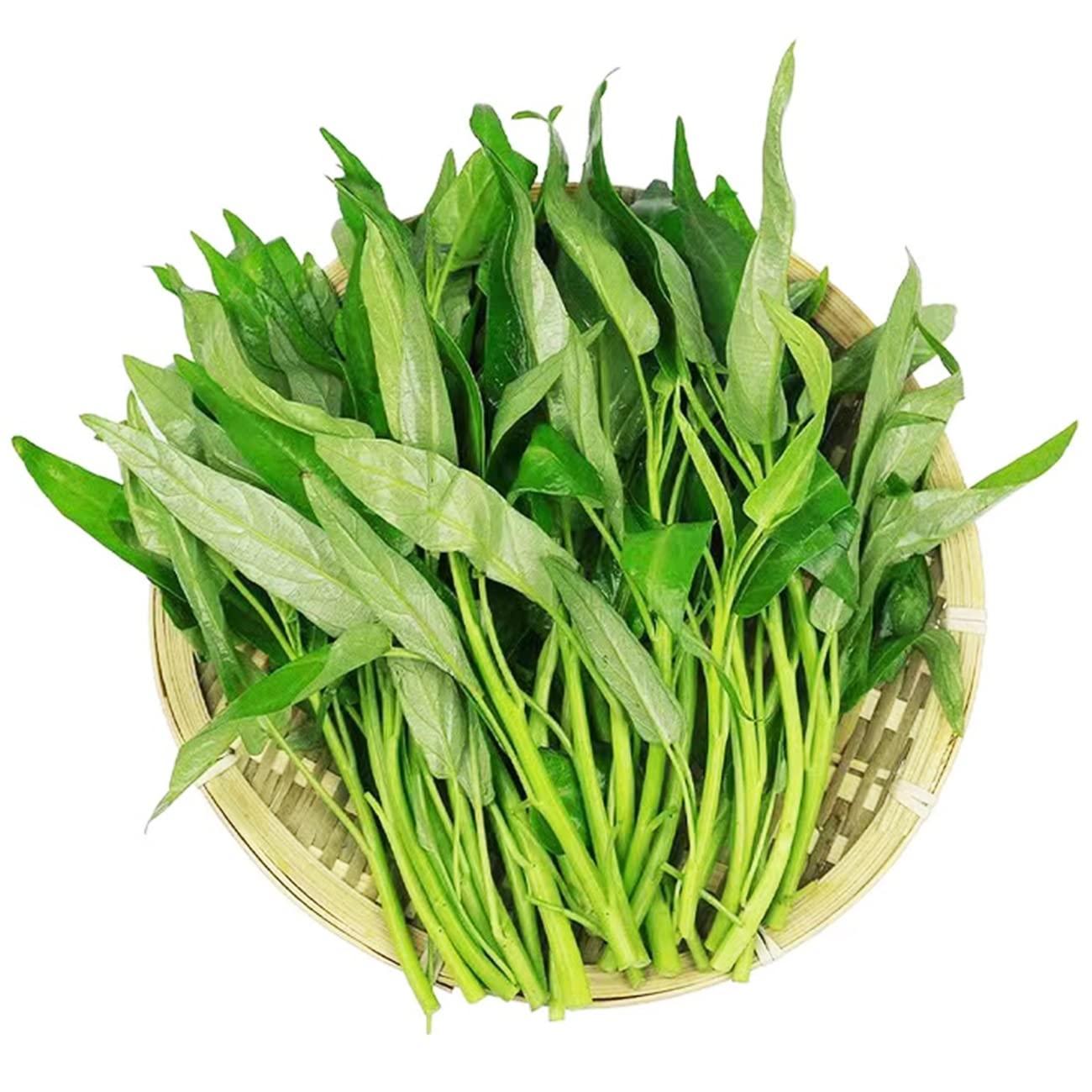 VISTATU Kong Xin Cai indoor garden setup demonstrates versatile home cultivation.