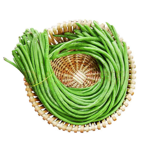 VISTATU pencil-thin pods snapped for quick cooking