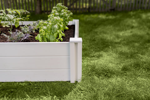 Vita Classic bed in a garden demonstrates deep root vegetables thriving in 11-inch depth