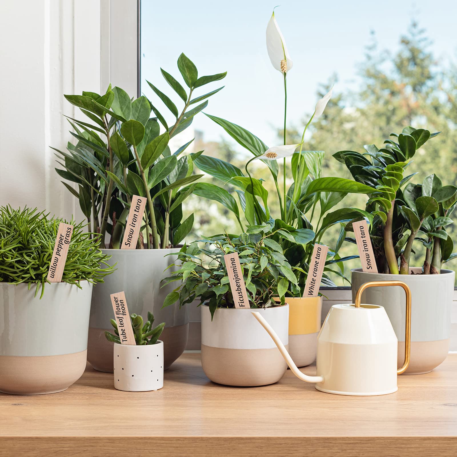 VITEVER garden labels help organize plant types and growth stages