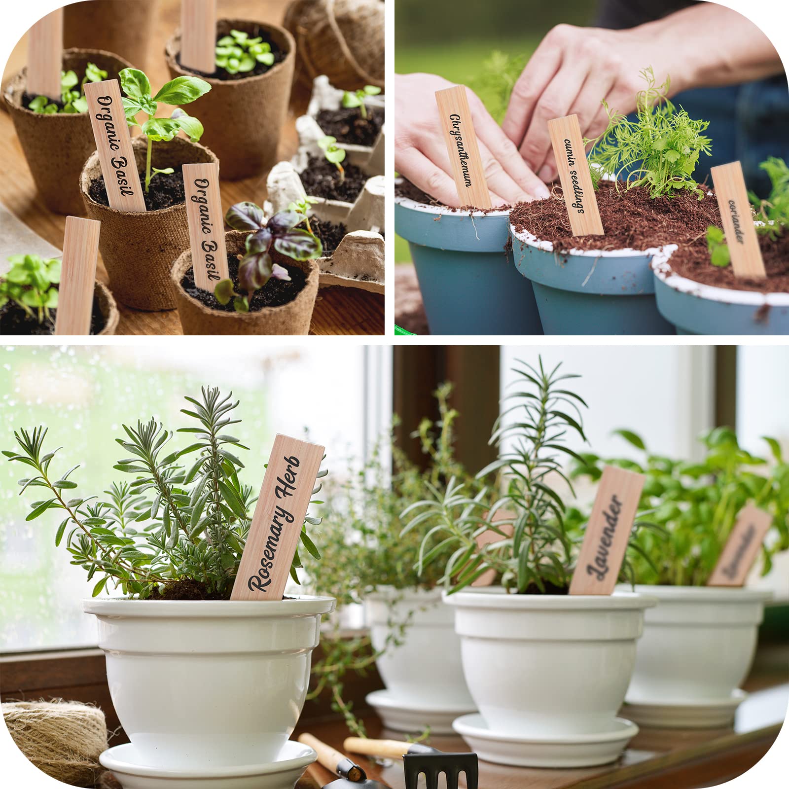 VITEVER plant tags suit indoor and outdoor pots