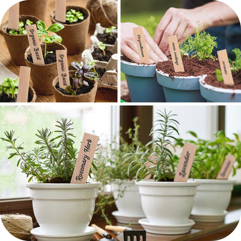 VITEVER plant tags suit indoor and outdoor pots