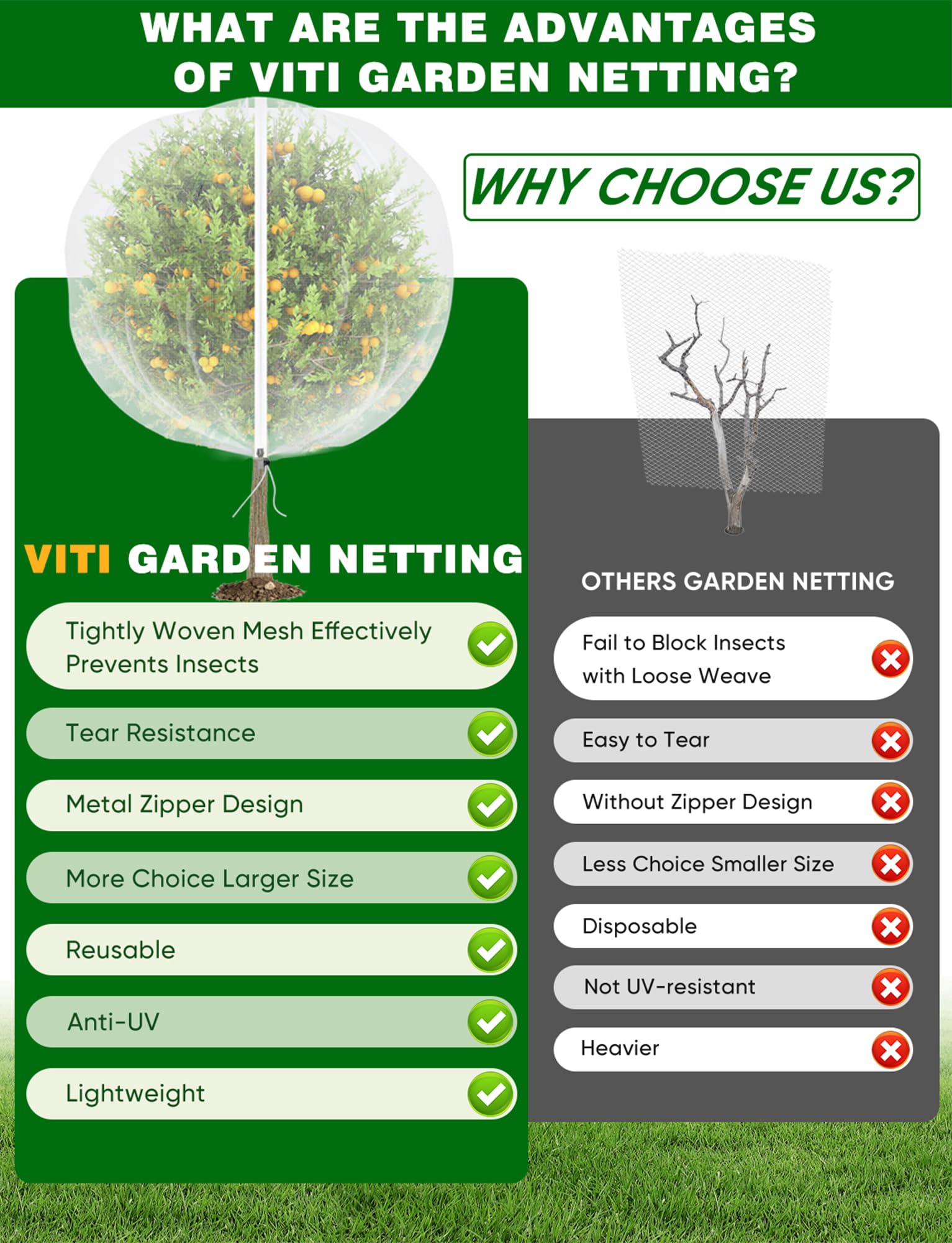 VITI eco-friendly, BPA-free material keeps fruit safe without chemicals.
