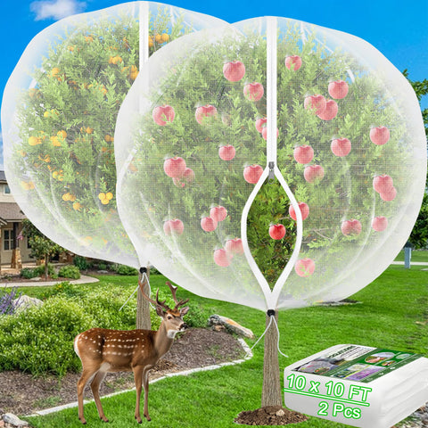 VITI fruit nets ready over a tree for pest protection.