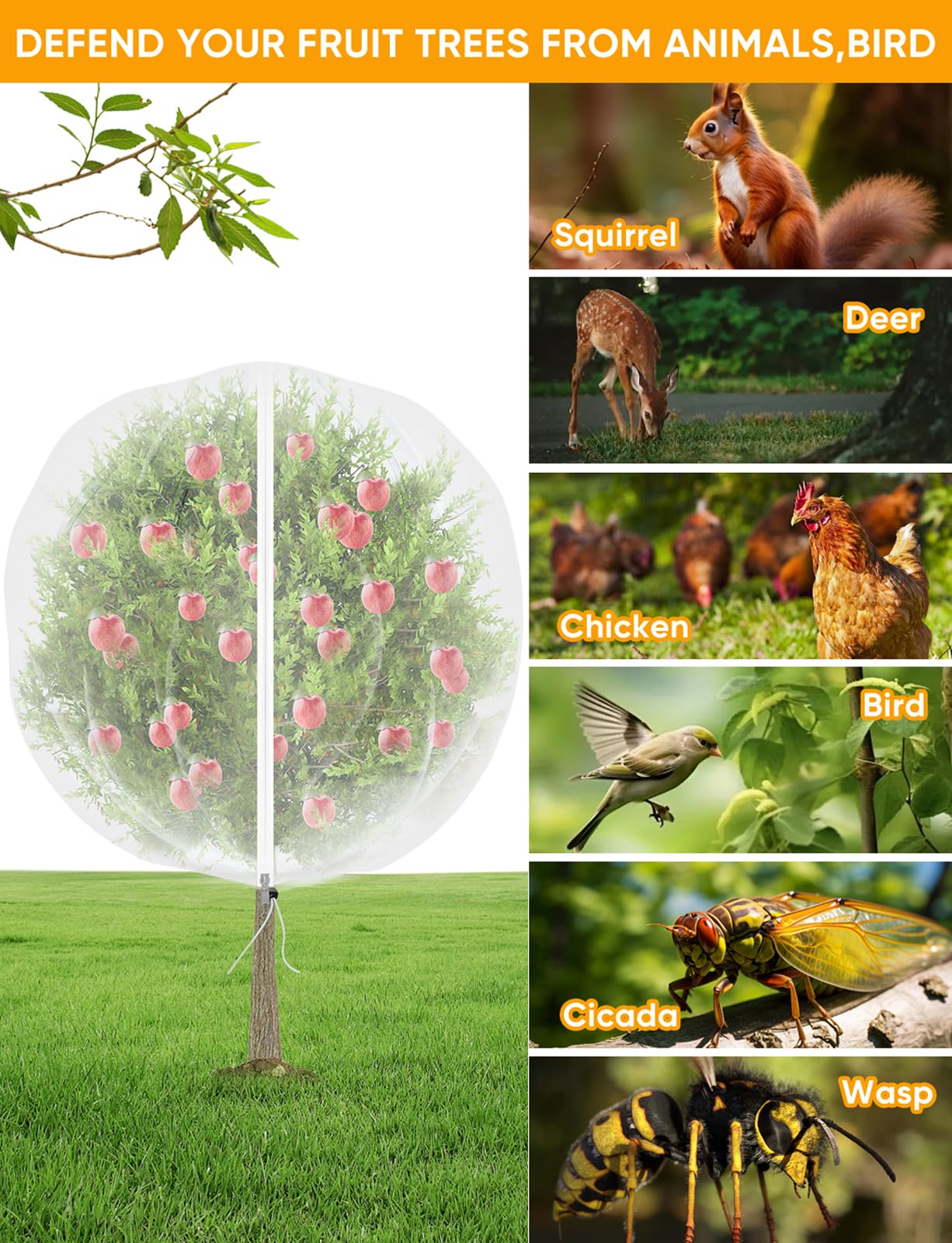 VITI dense-mesh netting blocks pests while keeping beneficial airflow to fruit trees.