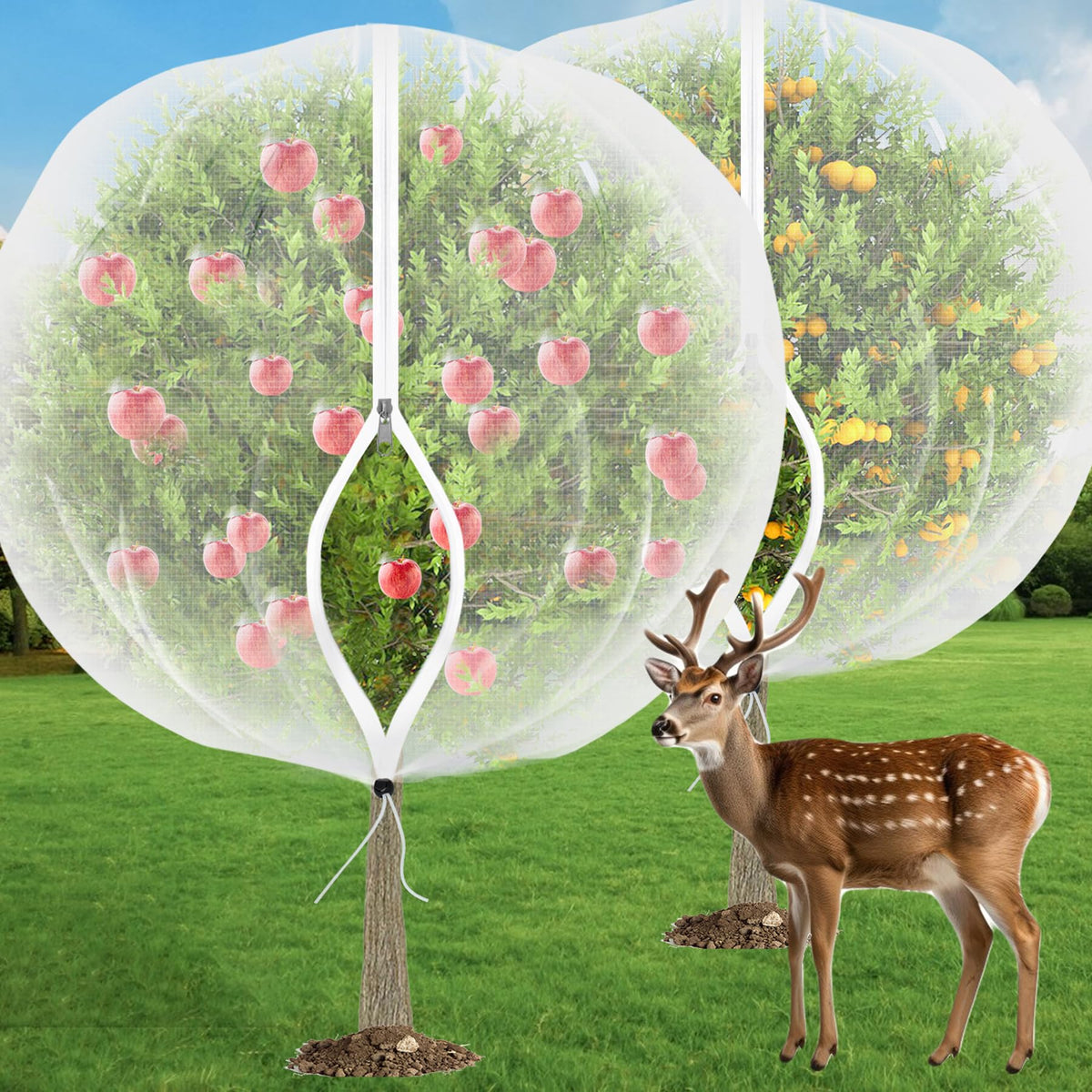 VITI fruit tree netting with zipper-drawstring enables easy access during pruning and harvest.