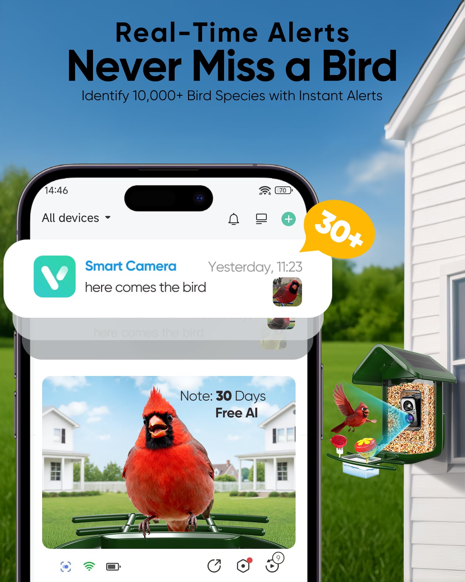 VIUBIRD AI identification labels species as birds arrive at the feeder.