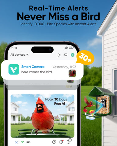VIUBIRD AI identification labels species as birds arrive at the feeder.
