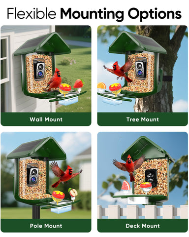 VIUBIRD DIY accessory kit attracts diverse species to your yard.