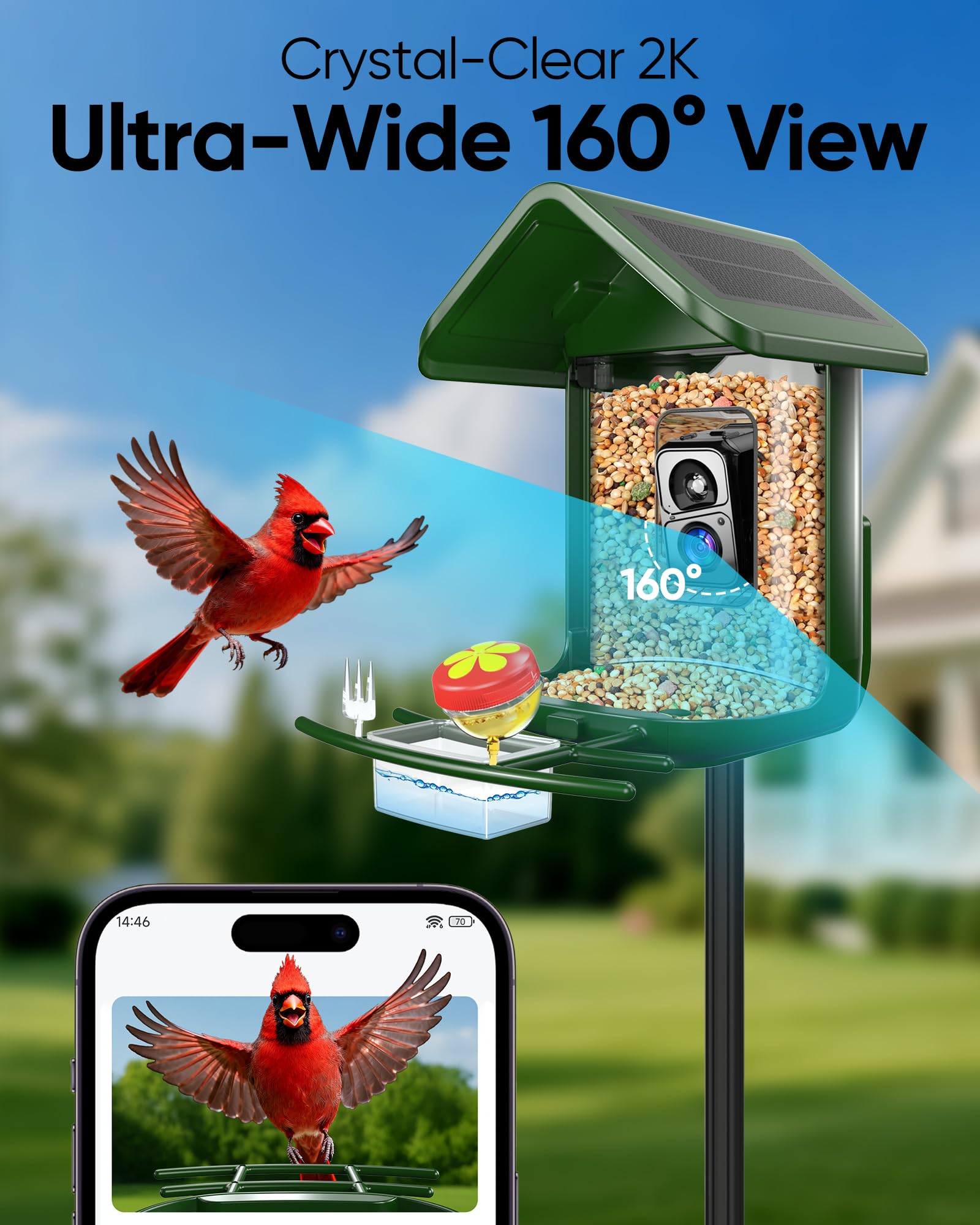 VIUBIRD large capacity feeder reduces refill frequency during busy feeding times.