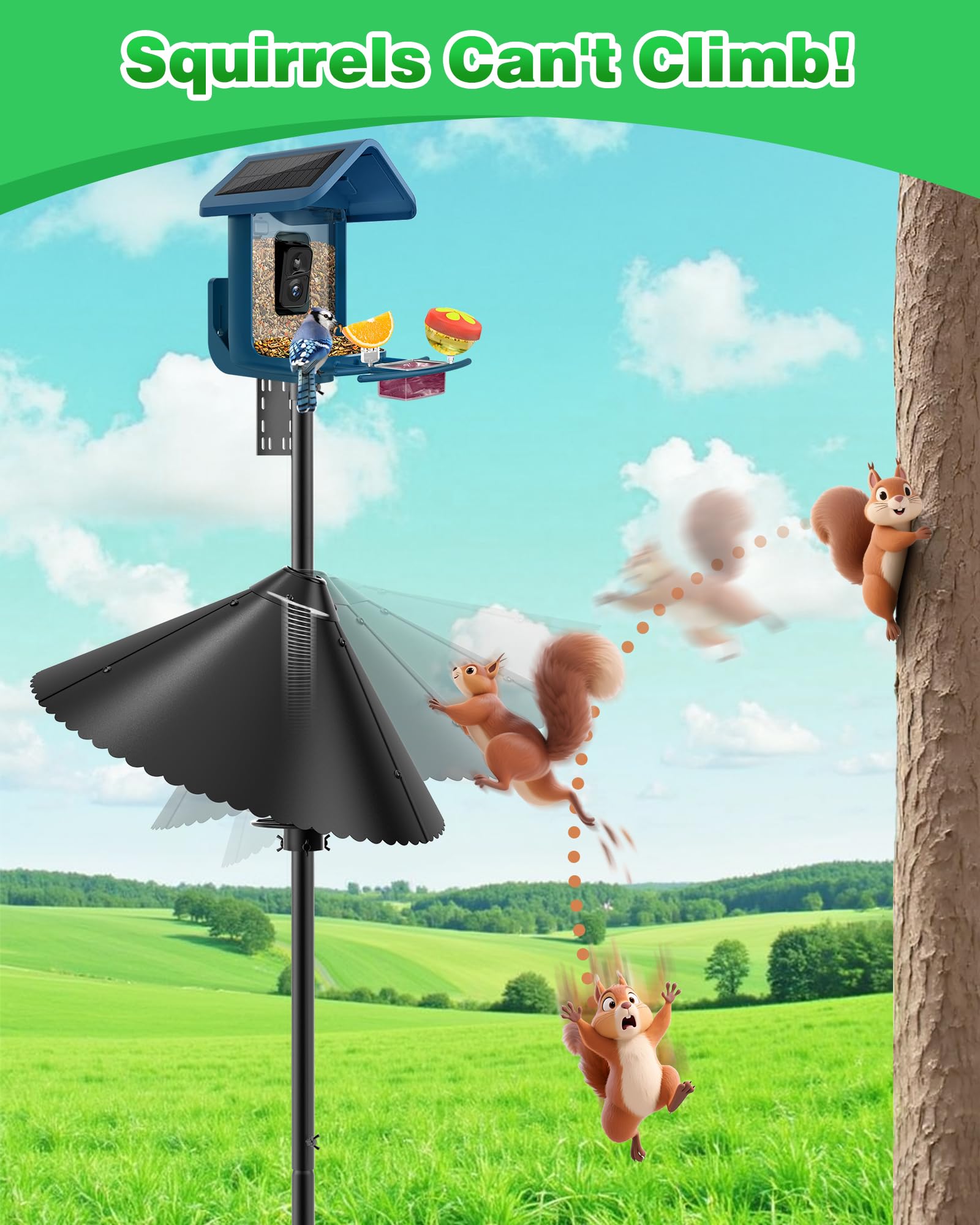 VIUBIRD weather-resistant metal baffle stands up to rain and sun