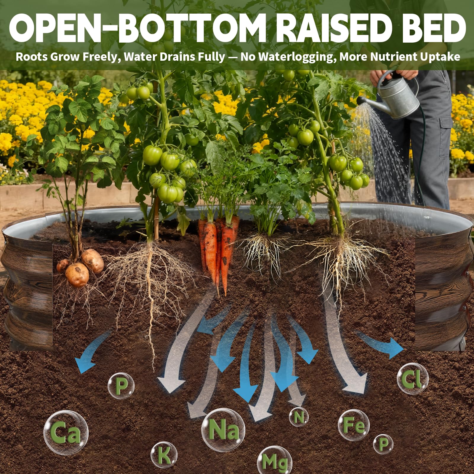 Open-bottom design promotes healthy roots and better drainage for vegetables.