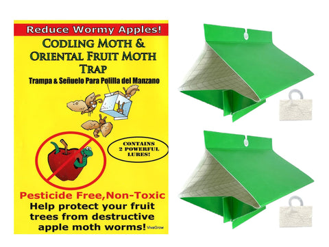 VivaGrow Oriental fruit moth trap attached to a tree, reducing infestation risk