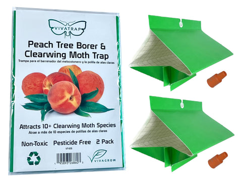 VivaGrow VivaTrap VT105 overview: attracts peach tree borers for effective monitoring.