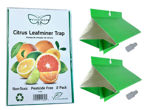 VivaGrow VivaTrap VT-102 two-pack citrus leafminer trap for targeted pest capture on citrus trees
