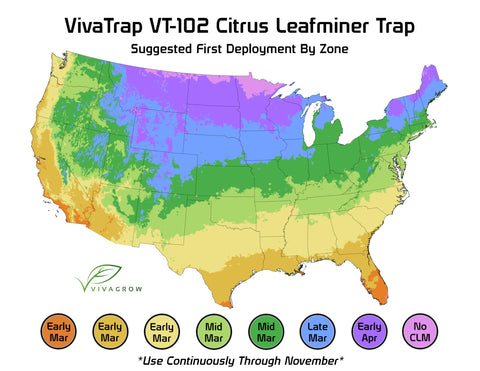 VivaGrow VivaTrap VT-102 extra-sticky traps for reliable capture and monitoring