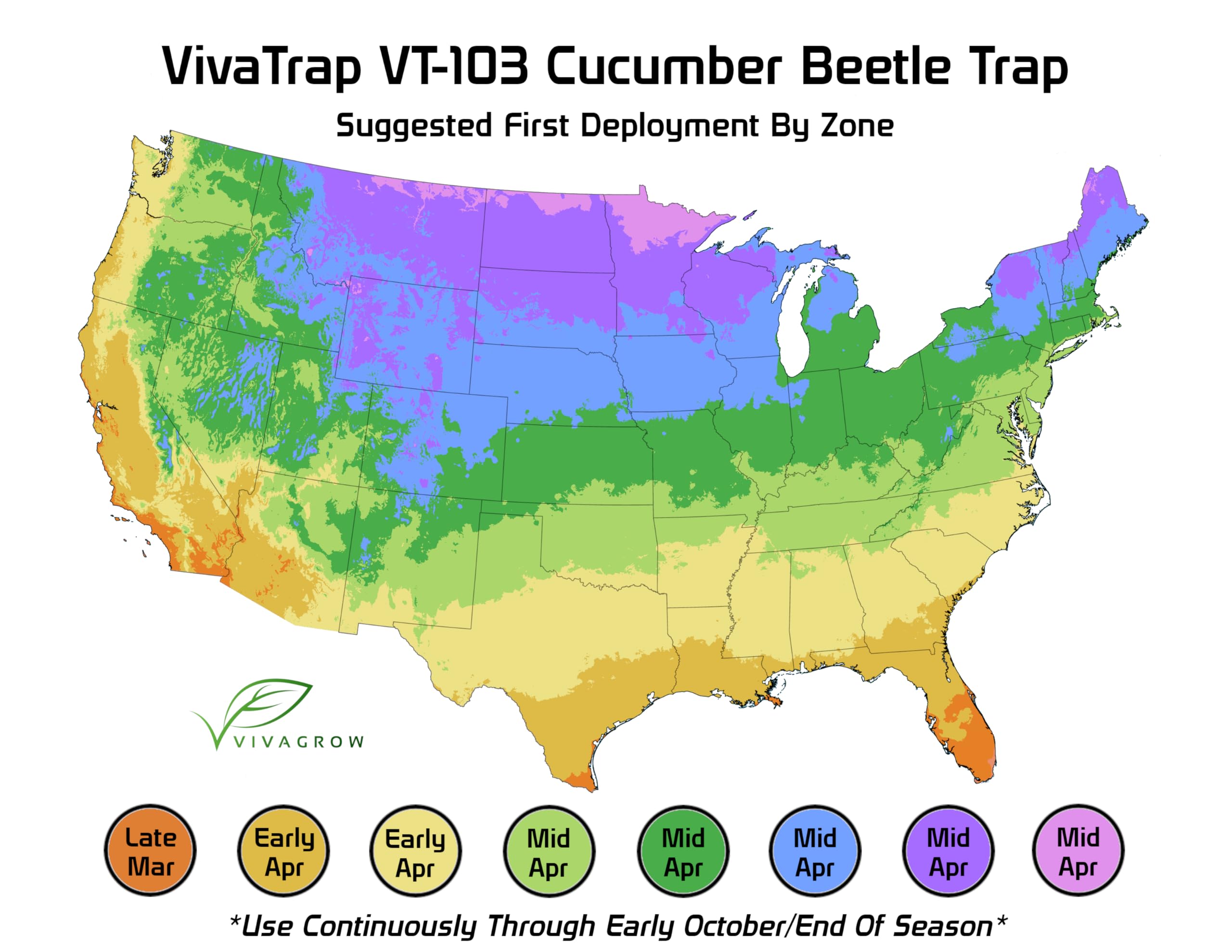 VivaGrow wet glue trap detail shows effective capture surface for beetles.