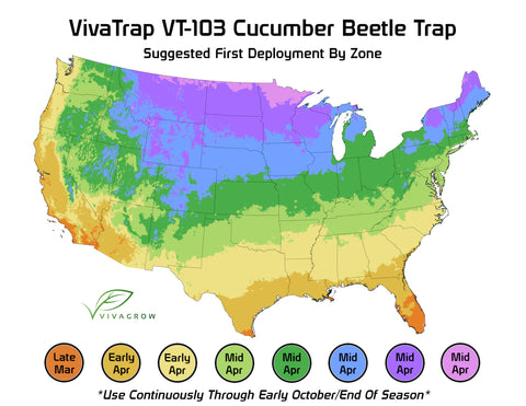 VivaGrow wet glue trap detail shows effective capture surface for beetles.
