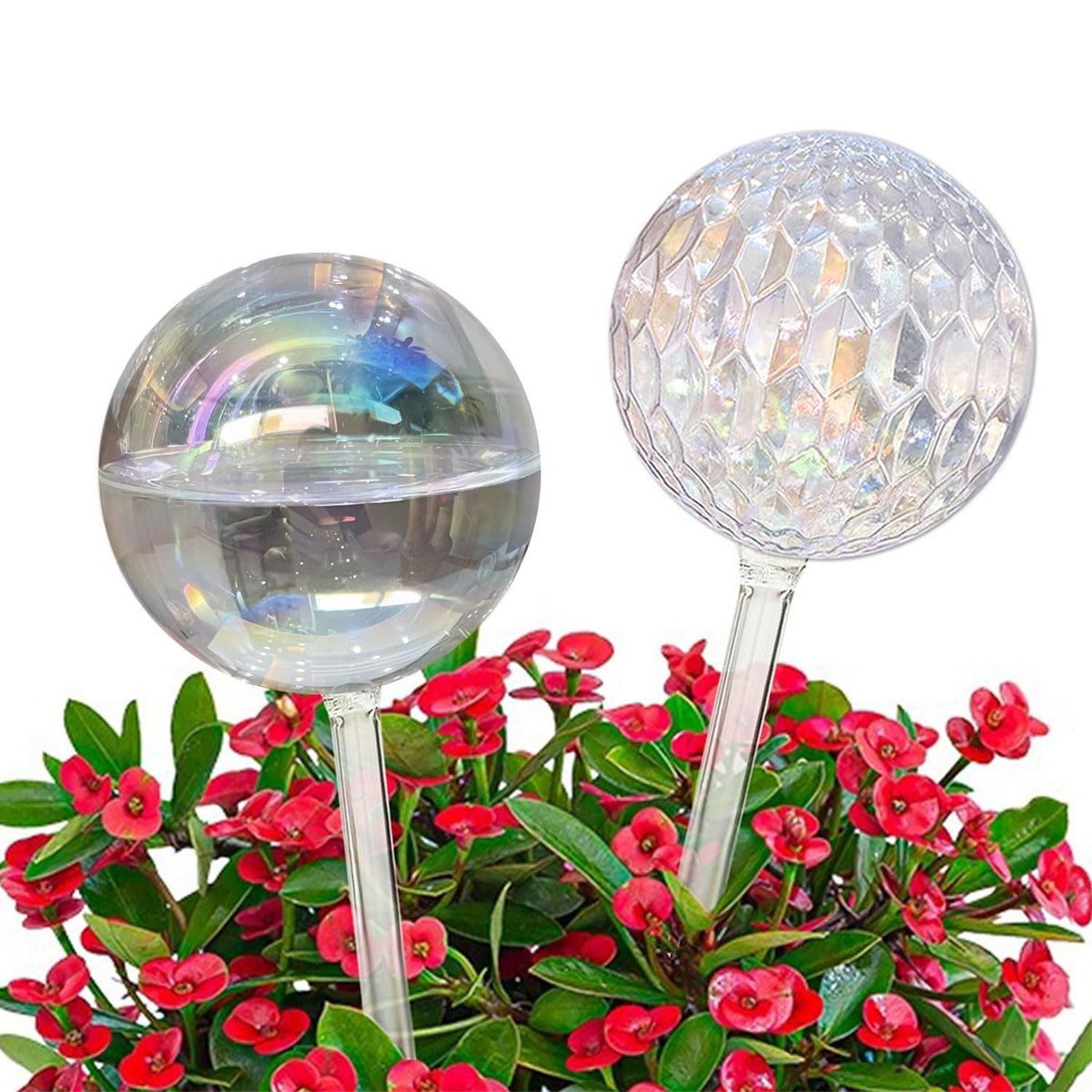 Vividaire iridescent large glass watering globes close-up for elegant plant hydration.