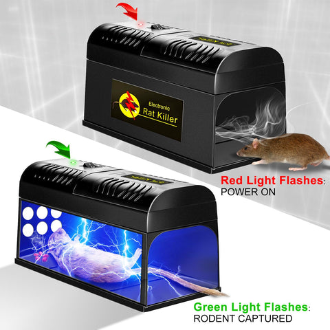 Vivideal Upgraded Rat Trap bait setup demonstrates simple bait options for attraction.