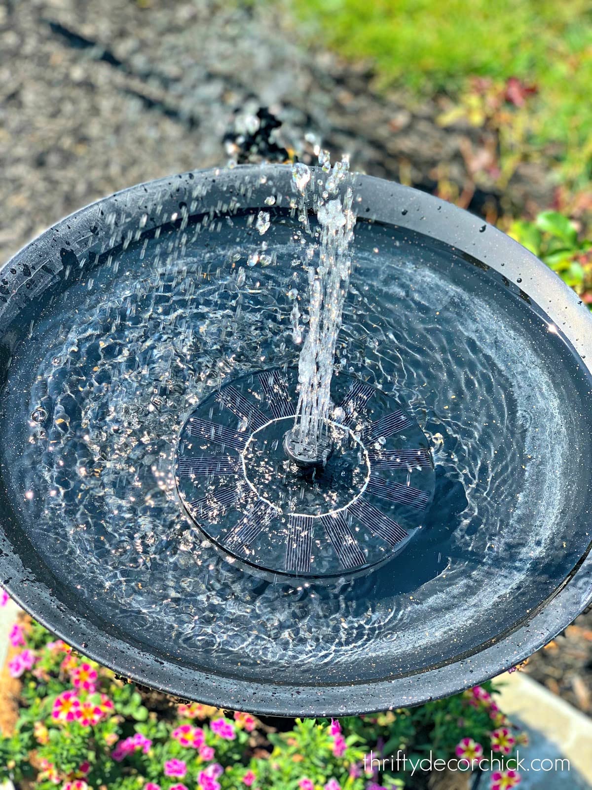 VIVII water jet reaches 10–18 inches with bright sun