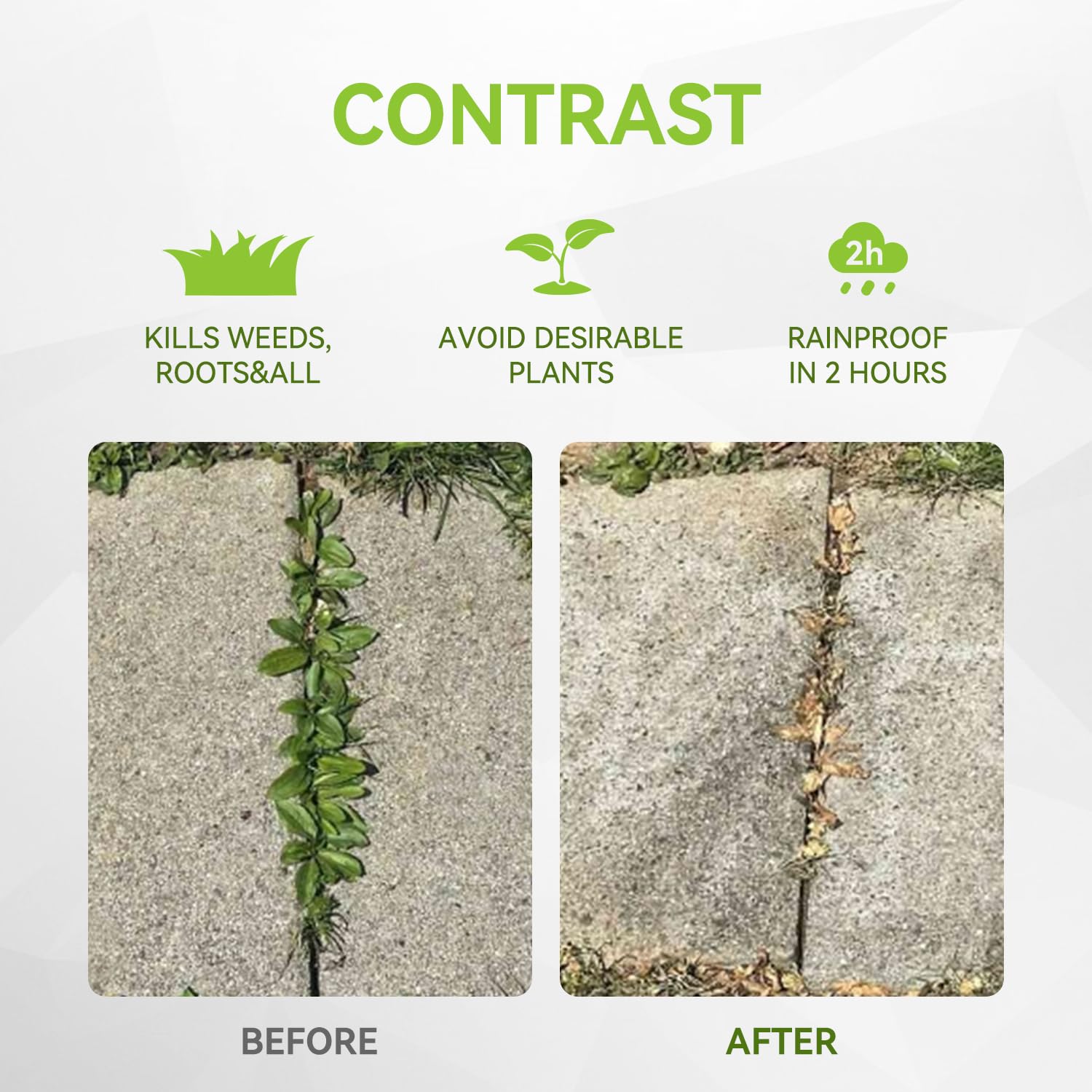 VIVIPOOOL packaging front emphasizes 41 percent glyphosate concentrate.