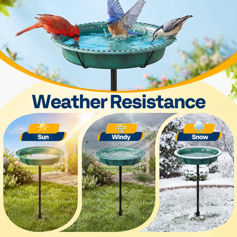 Vivohome bird bath attachment showing feeding option to attract birds