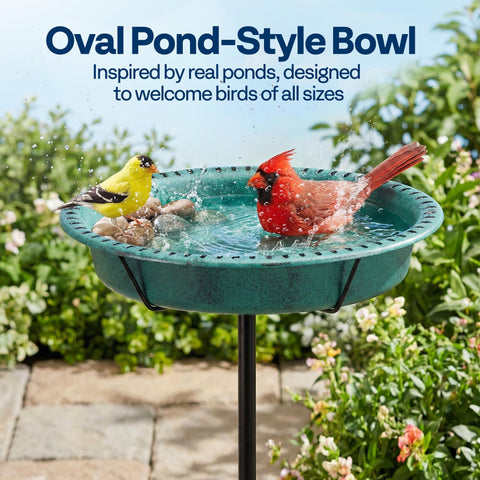 Vivohome oval bird bath with antique bronze finish adds garden charm and functional water depth