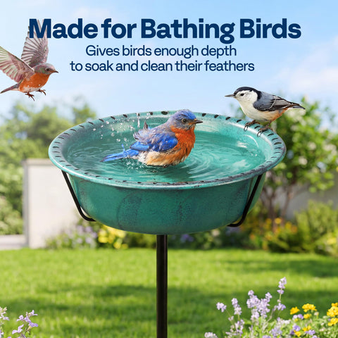 VIVOHOME small birds enjoy shallow areas created with stones near the bath.