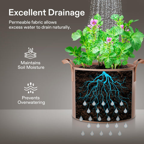 VIVOSUN 1-gallon grow bag suitable for indoor and outdoor gardening.
