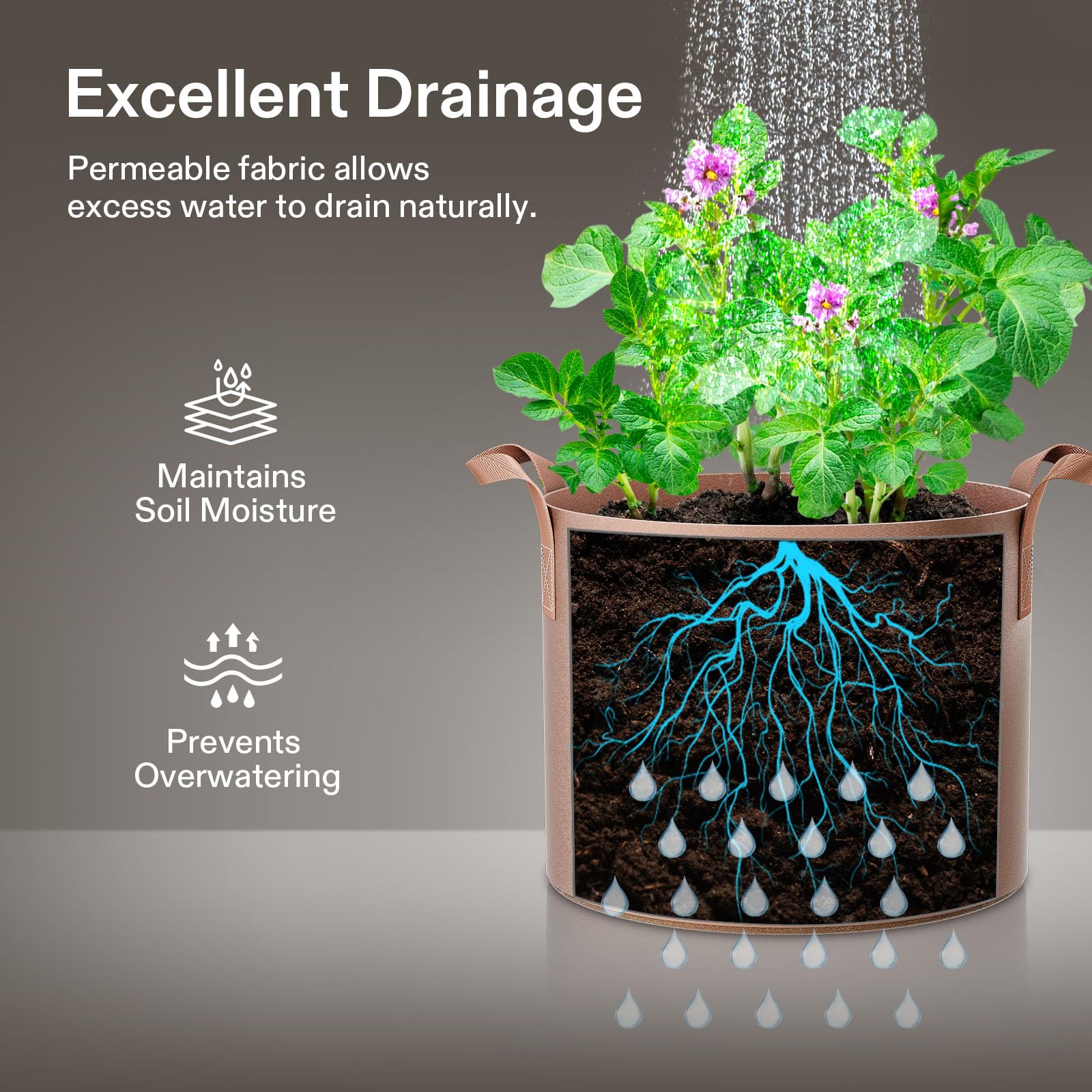 VIVOSUN 10-gallon grow bag for versatile indoor or outdoor use.