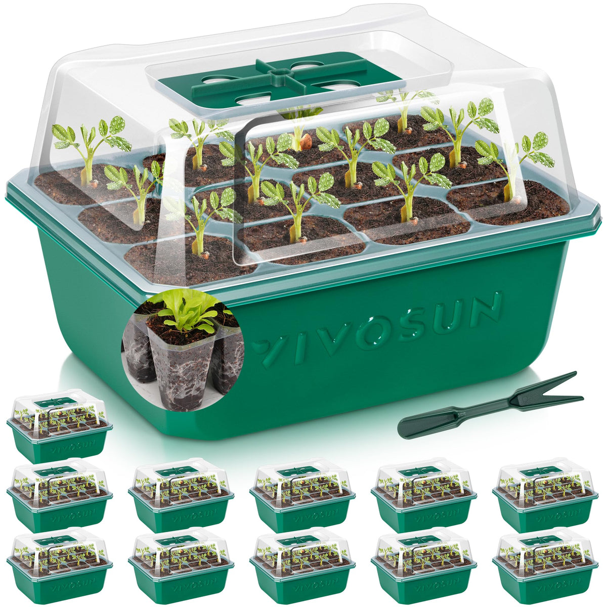 VIVOSUN 144-cell seed starter tray with dome for efficient germination and moisture control