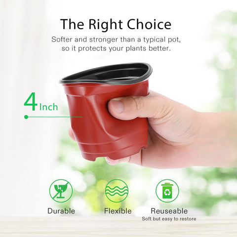 VIVOSUN 4-inch pot with drainage holes promotes healthy root care.