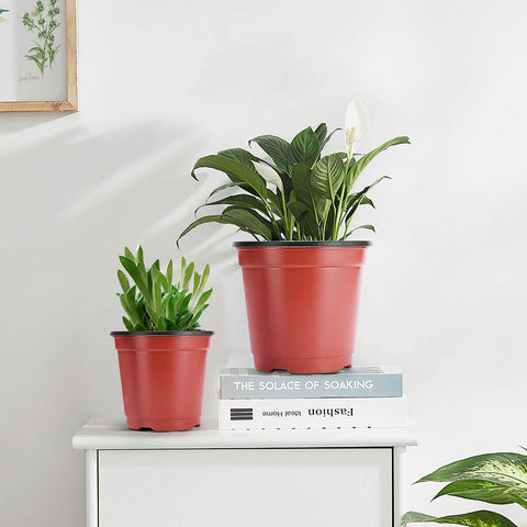 VIVOSUN 4-inch pot suits indoor gardening and starter beds.