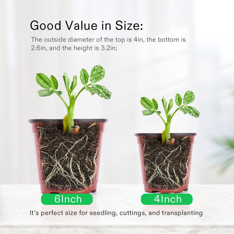 VIVOSUN 4-inch pot is washable and reusable for seasons.