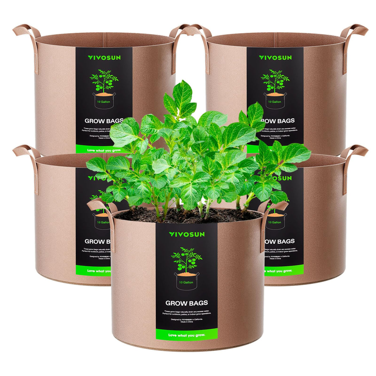 VIVOSUN 10-gallon grow bag with strap handles for easy transport.