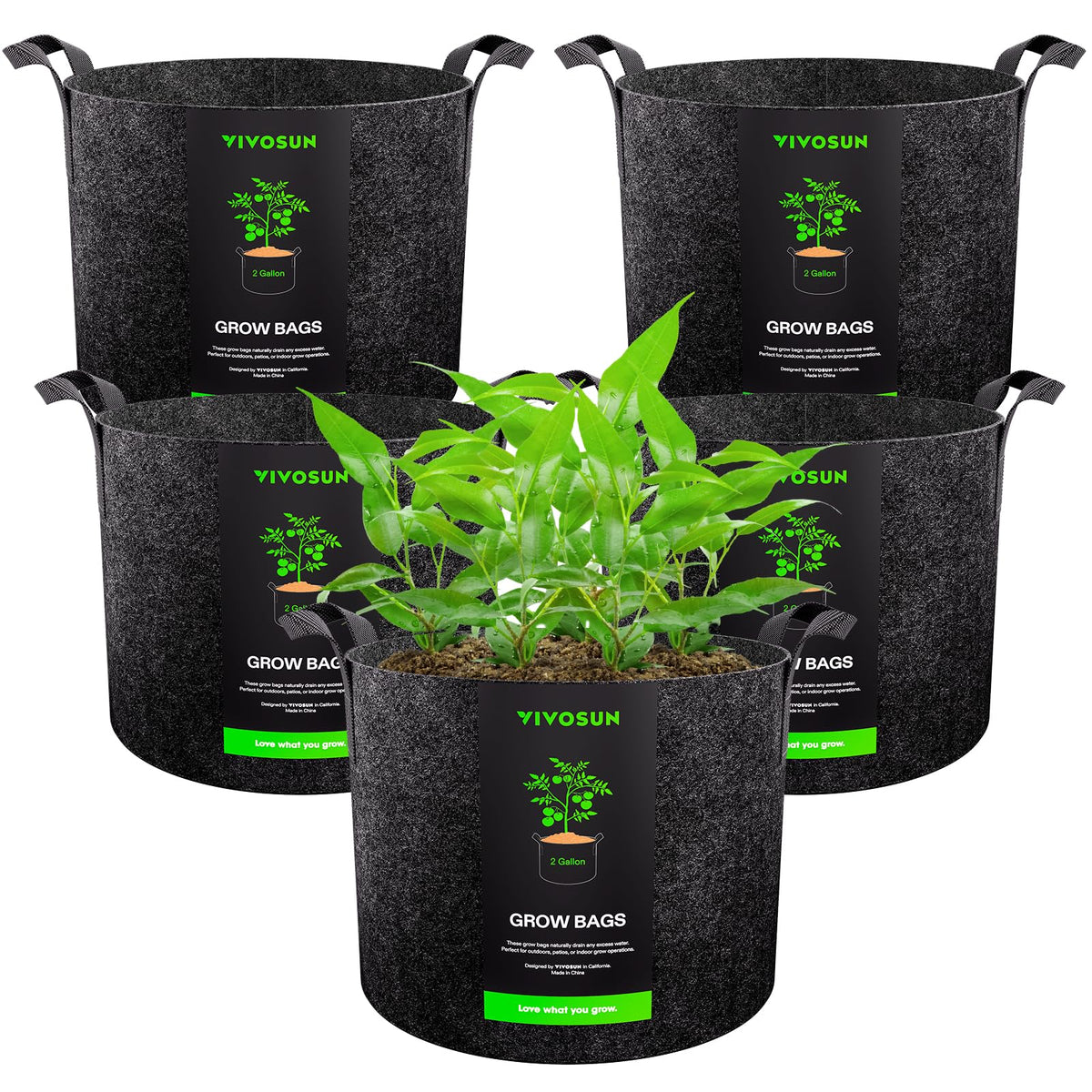 VIVOSUN 5-pack 2-gallon grow bags with handles for easy transport and setup