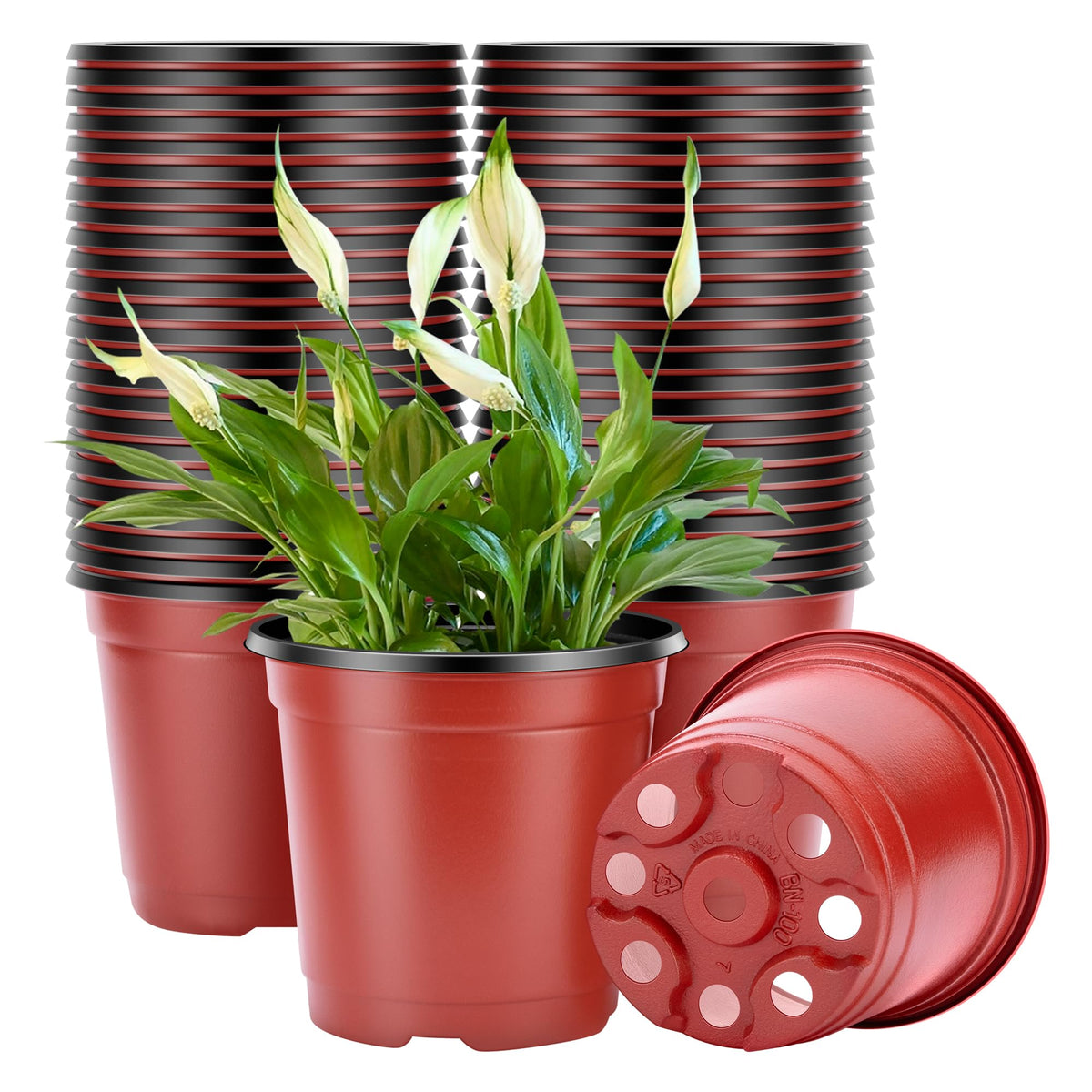 VIVOSUN 6-inch seed-starting pots in a 50-pack for batch germination