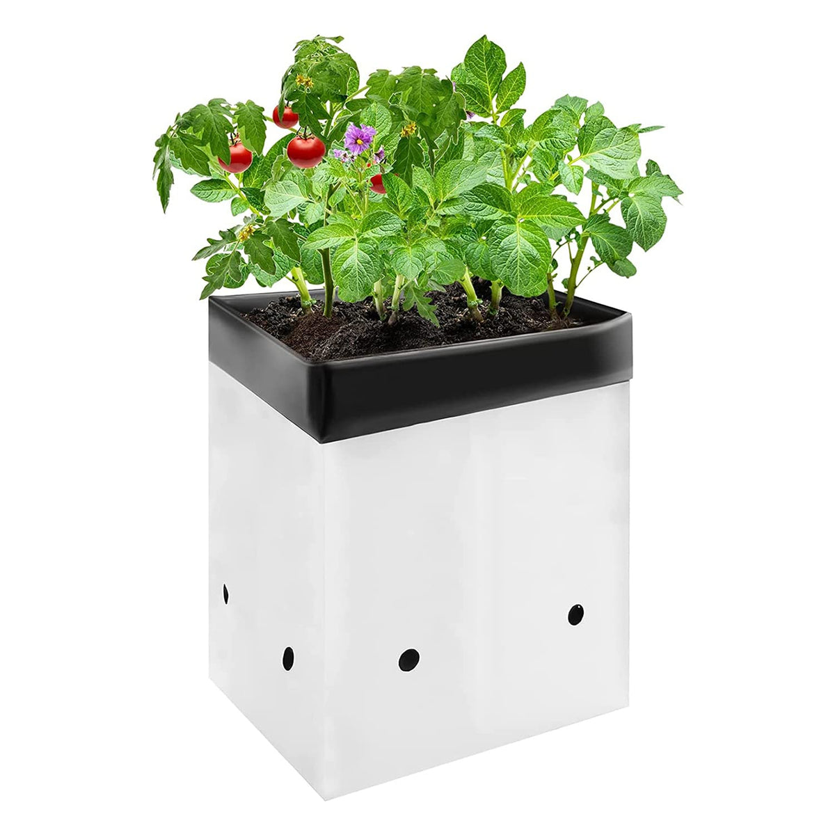 VIVOSUN 5-gallon grow bag set for seedlings and rooting