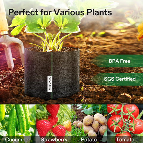 VIVOSUN 5-pack 2 gal grow bags store flat for compact storage.