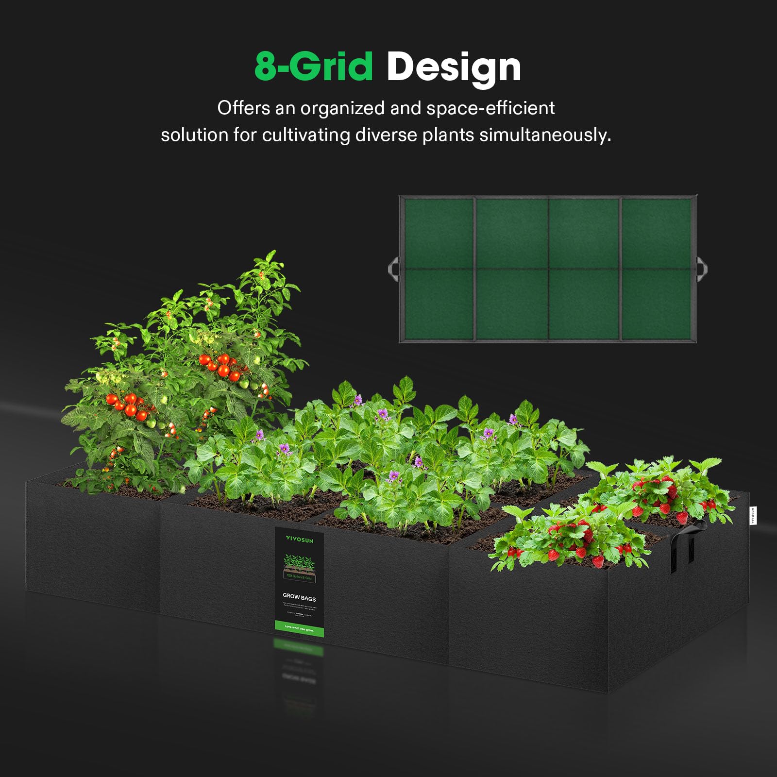 Eight-grid layout of the VIVOSUN bag provides independent plant spaces.