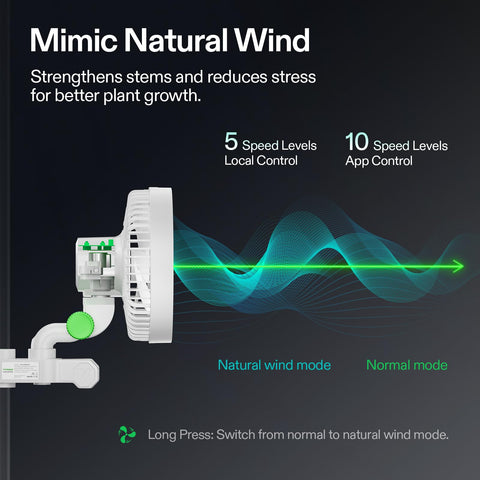 VIVOSUN AeroWave E6 natural wind mode mimics outdoor breeze for calmer plants.