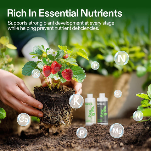 VIVOSUN Base B label-front view highlights formulation for vegetative and flowering stages.