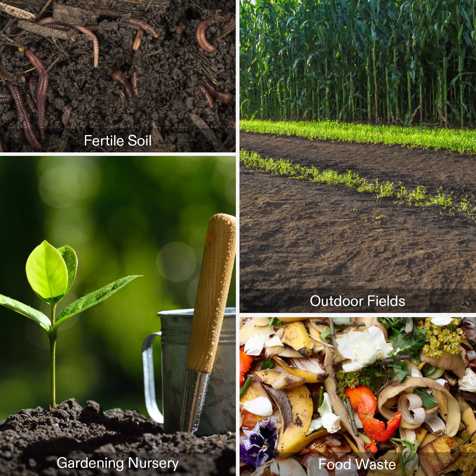 VIVOSUN beginner-friendly compost thermometer for new gardeners