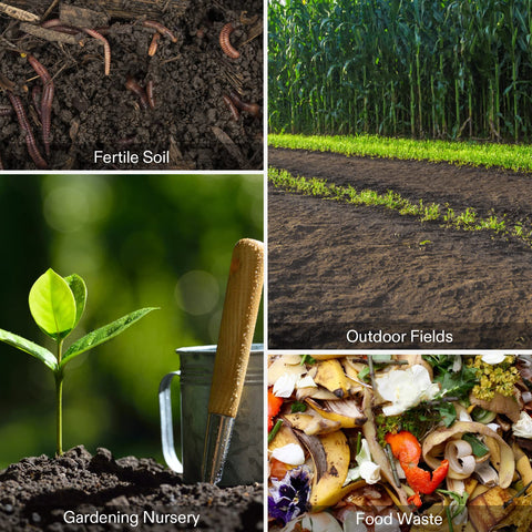 VIVOSUN beginner-friendly compost thermometer for new gardeners