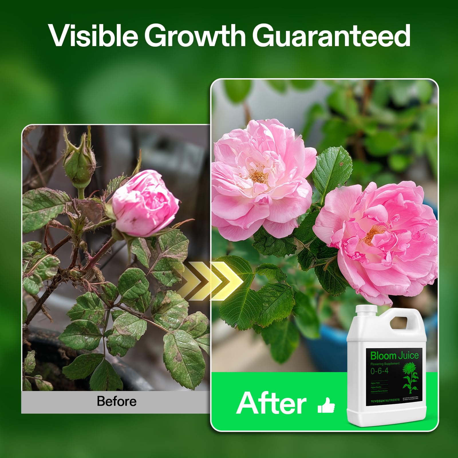 VIVOSUN Bloom Juice shown in a hydroponics setup supports vibrant blooms