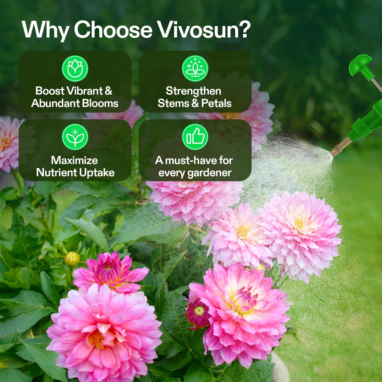 VIVOSUN Bloom Juice root-boosting formula supports healthy root development.